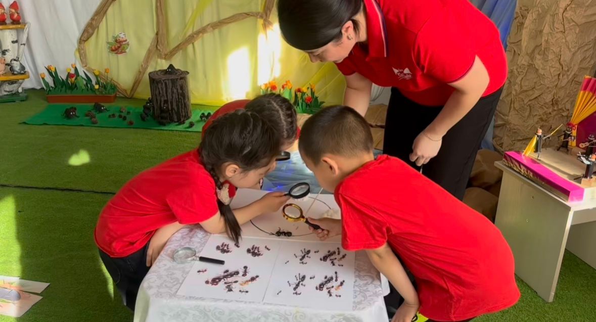 WhatsApp Image 2026-04-20 at 11.04.22 (2)